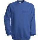 color:royal
